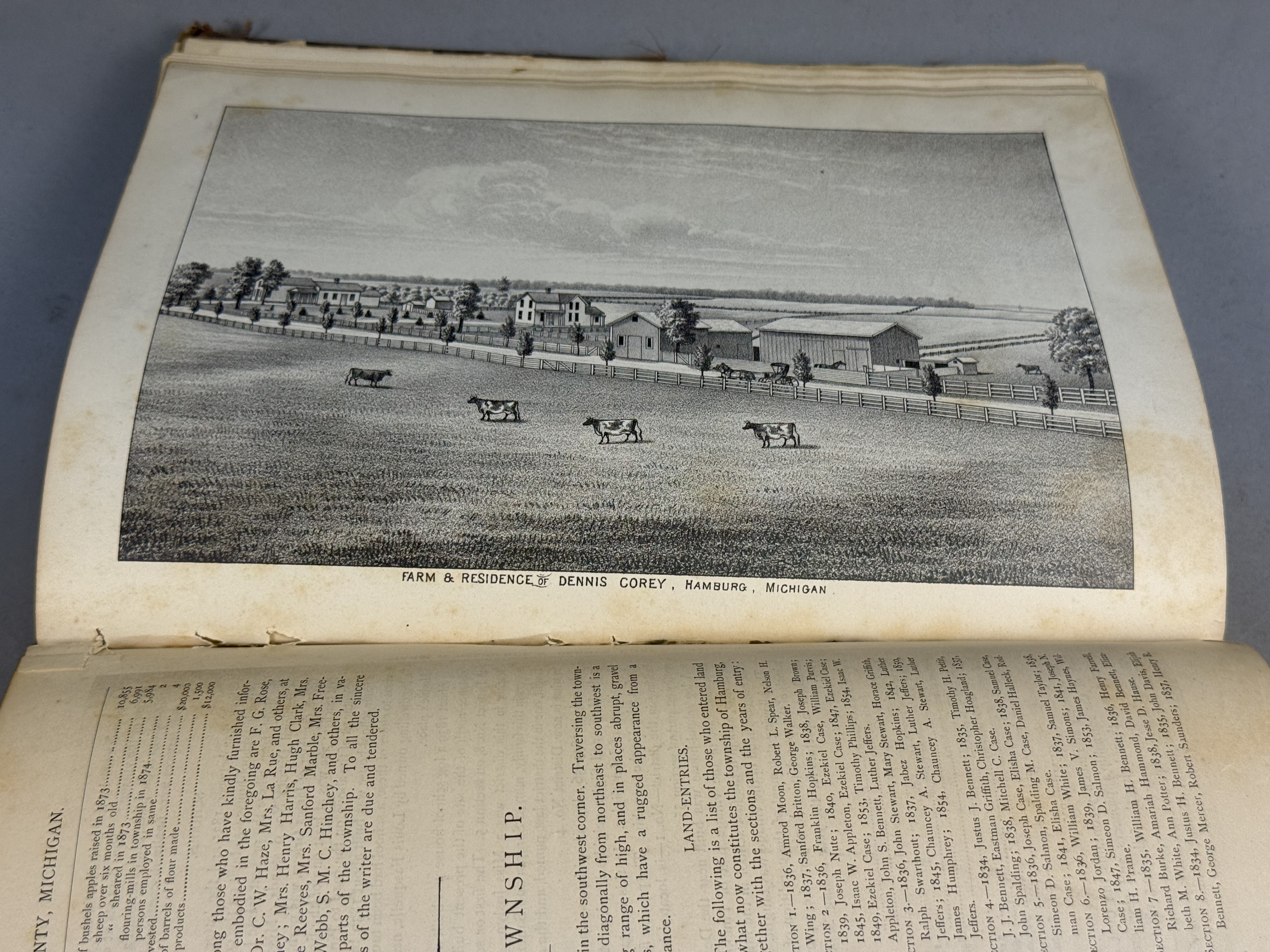 Everts & Abbott Livingston County Michigan History 1880