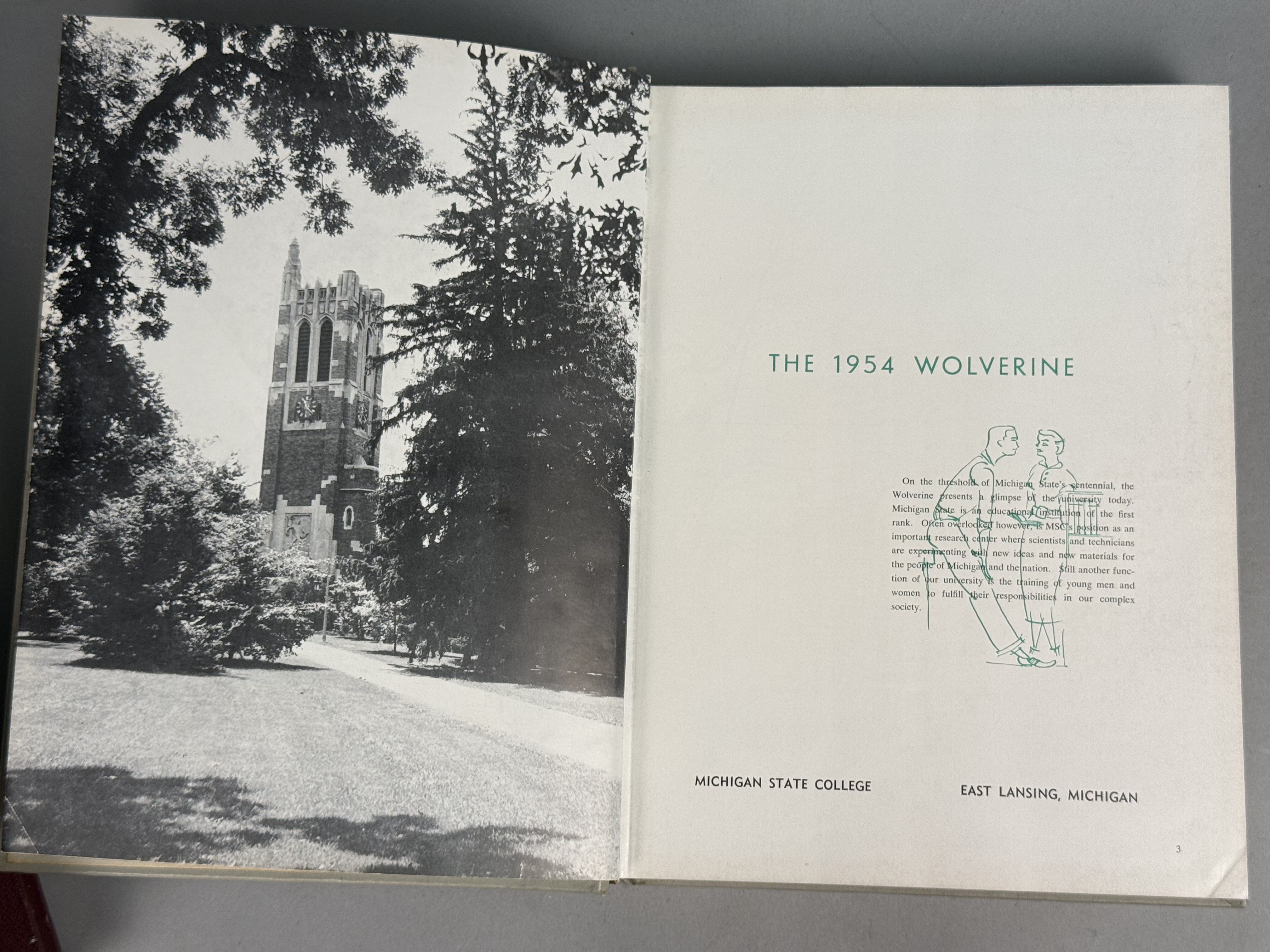 Three Michigan State Wolverine Yearbooks 1954-56