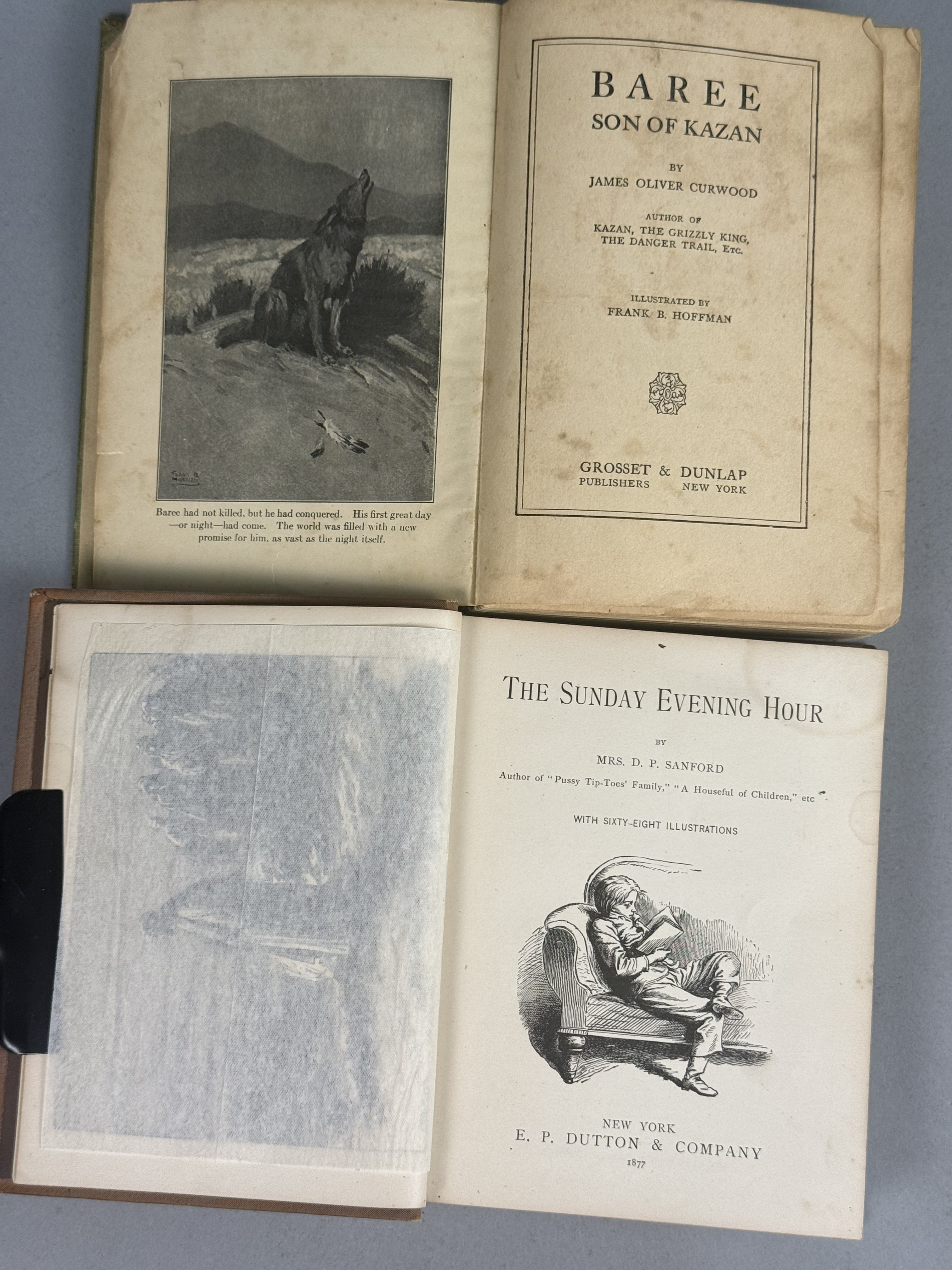 A Collection of Vintage Hardcover Books