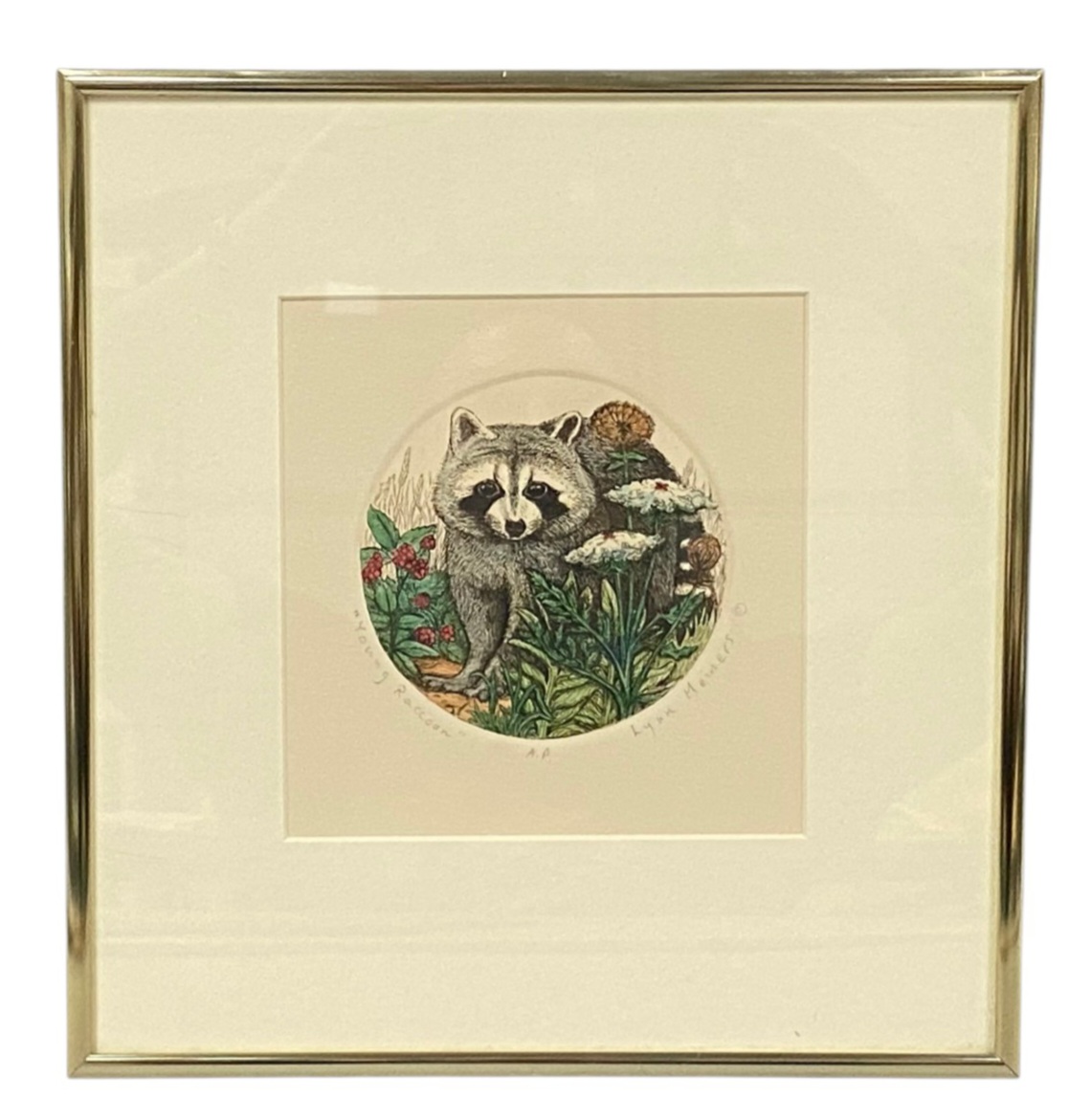 Lynn Meiners Young Raccoon Hand-Painted Etching