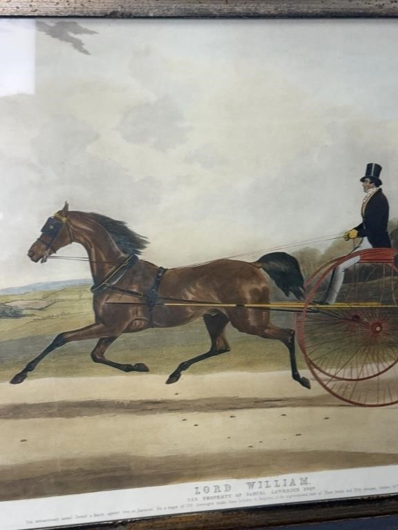 Lord William Hand-Colored Engraving