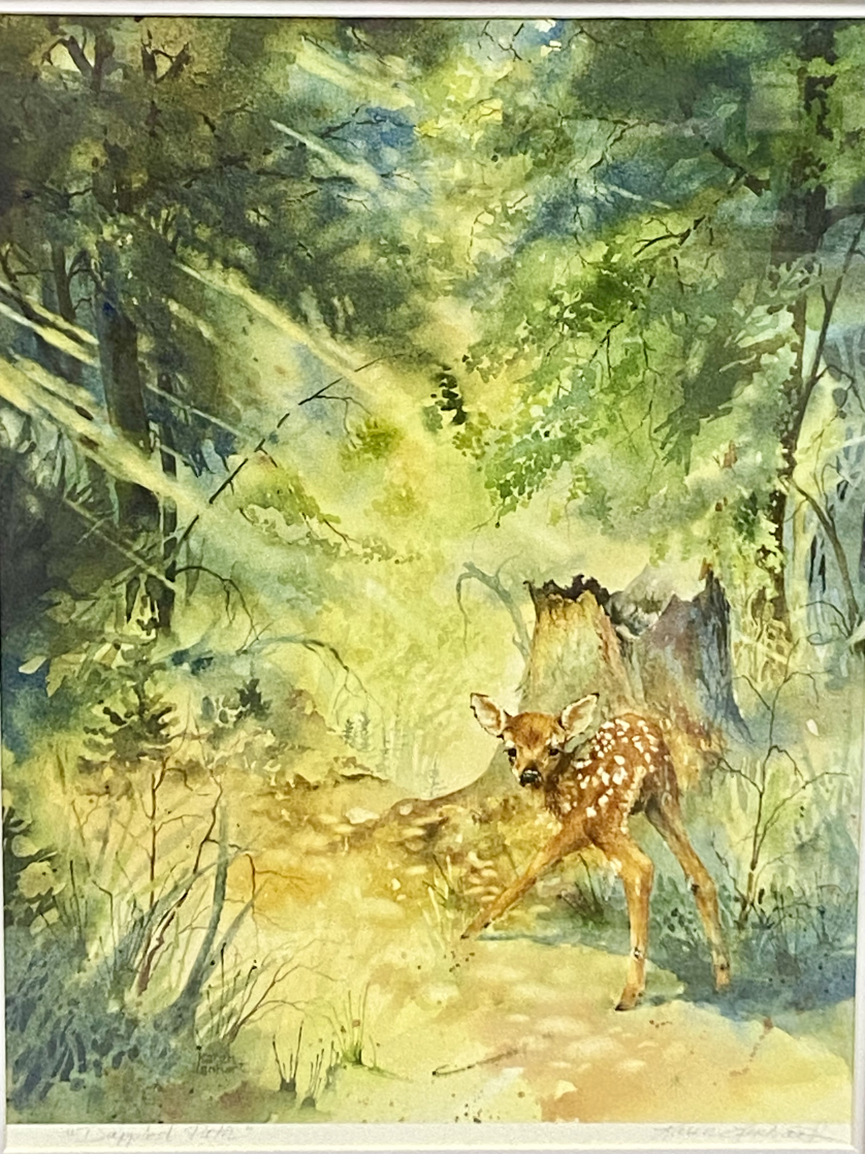 Karen Lenhart Dappled Path Giclée