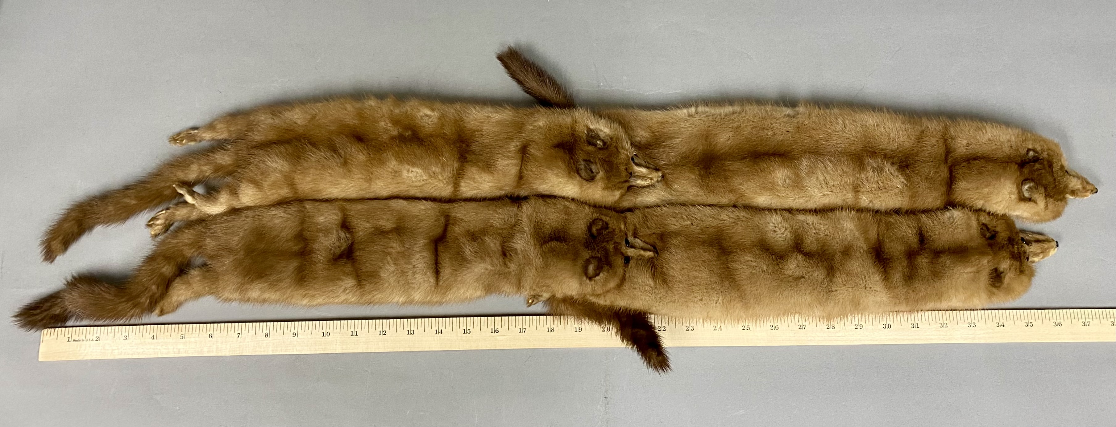 Nigbor Furs Four-Skin Mink Stole