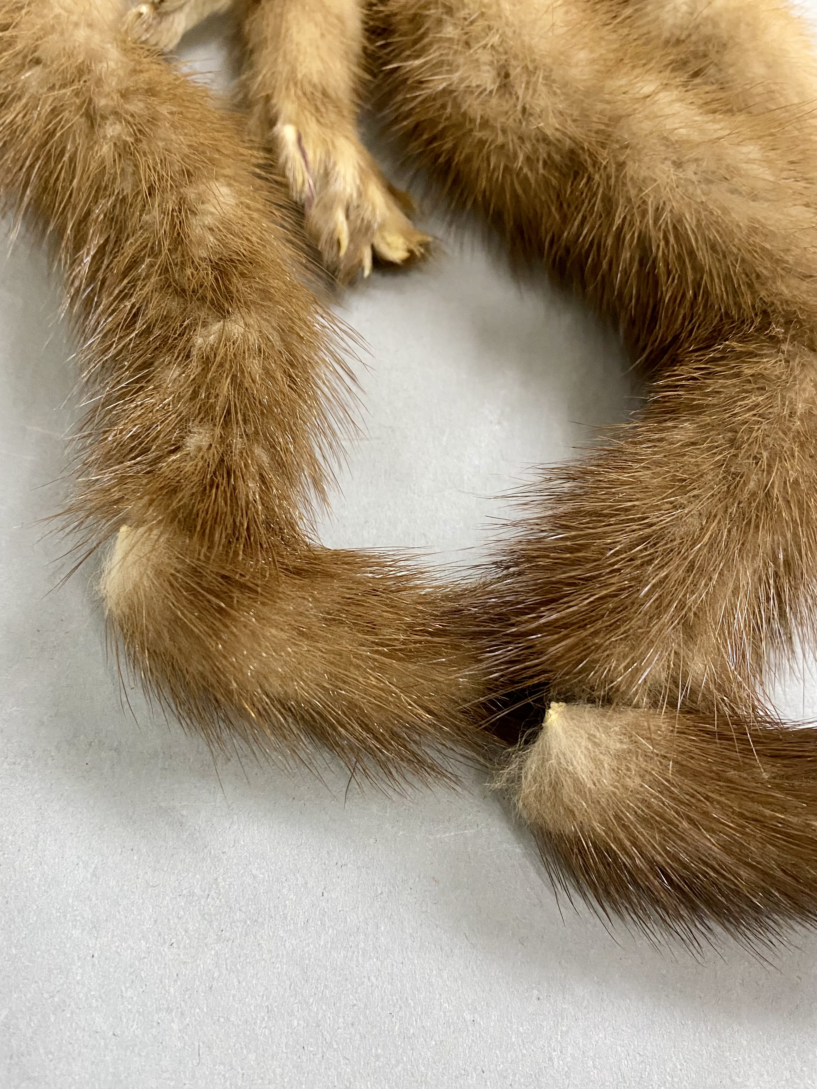 Nigbor Furs Four-Skin Mink Stole