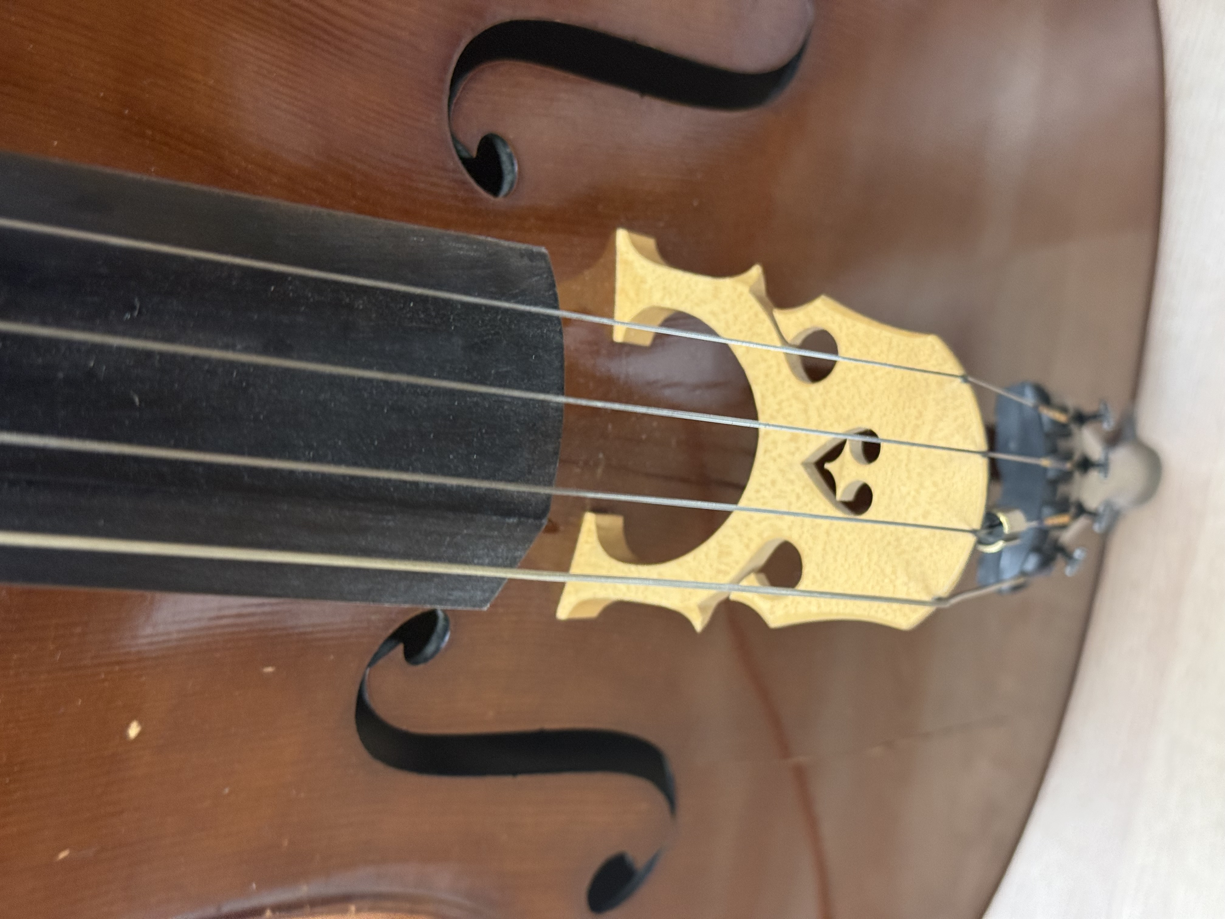 Alberto Morales Cello
