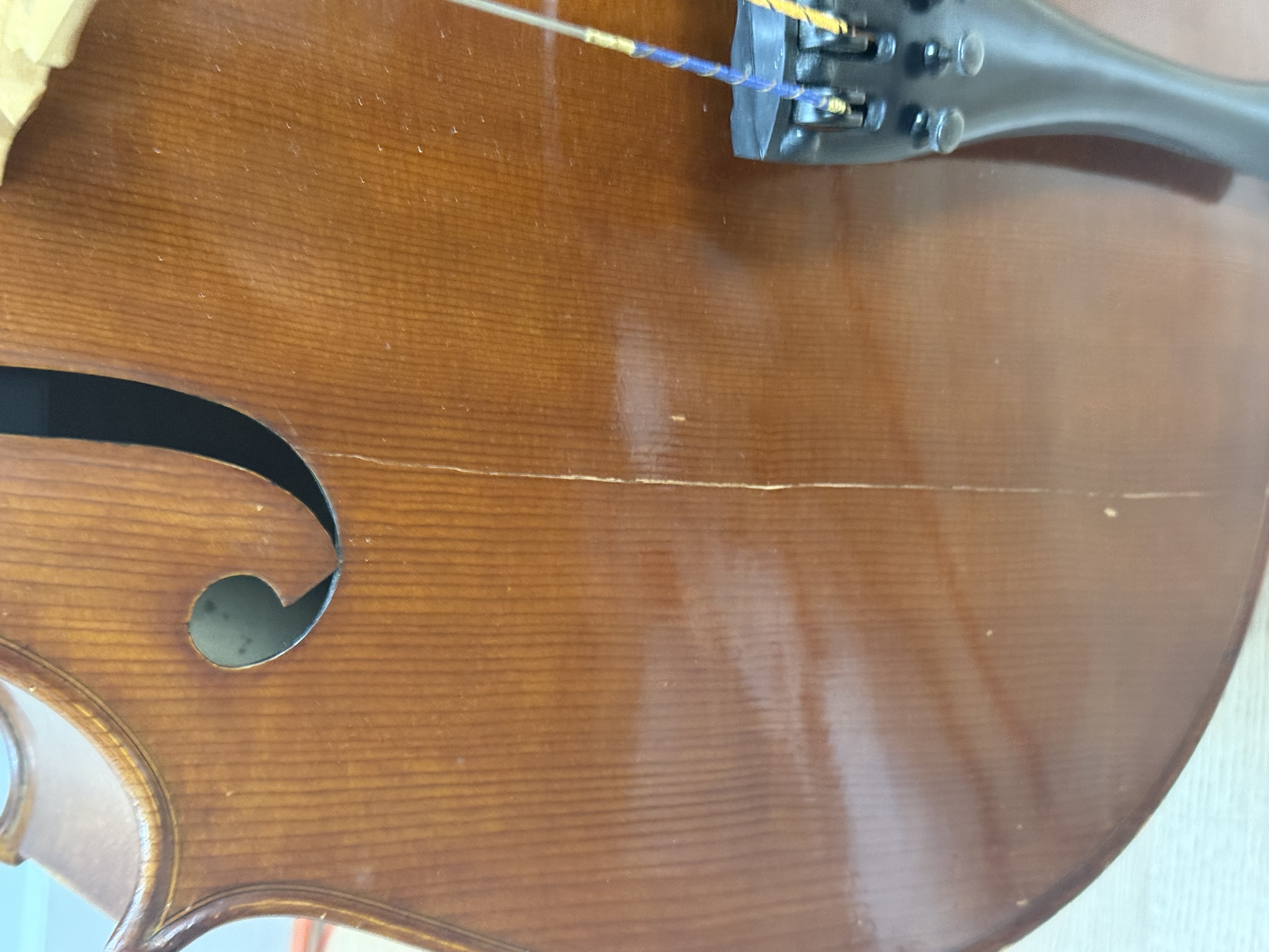 Alberto Morales Cello