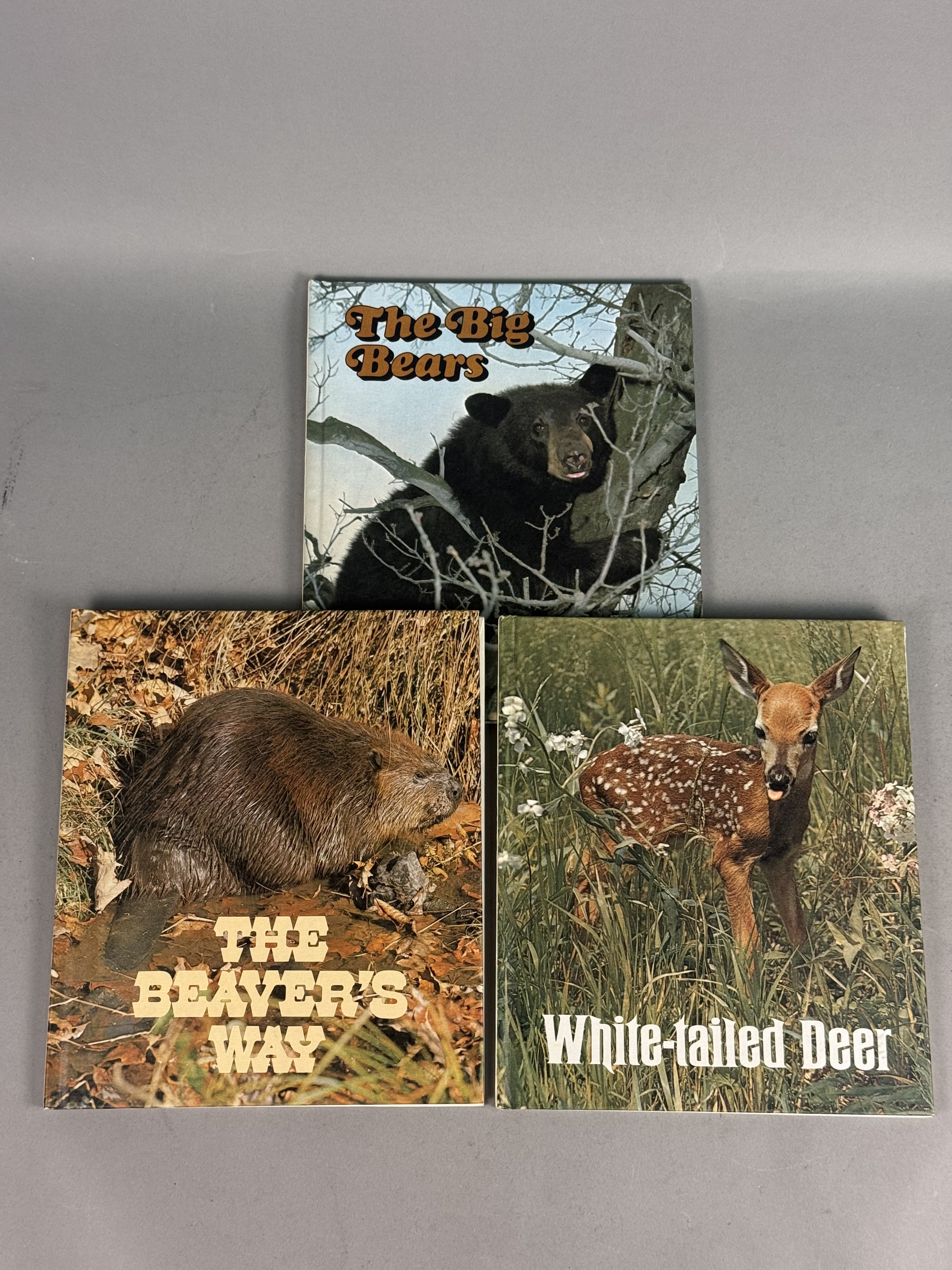 1973 Ranger Rick's Best Friends Books