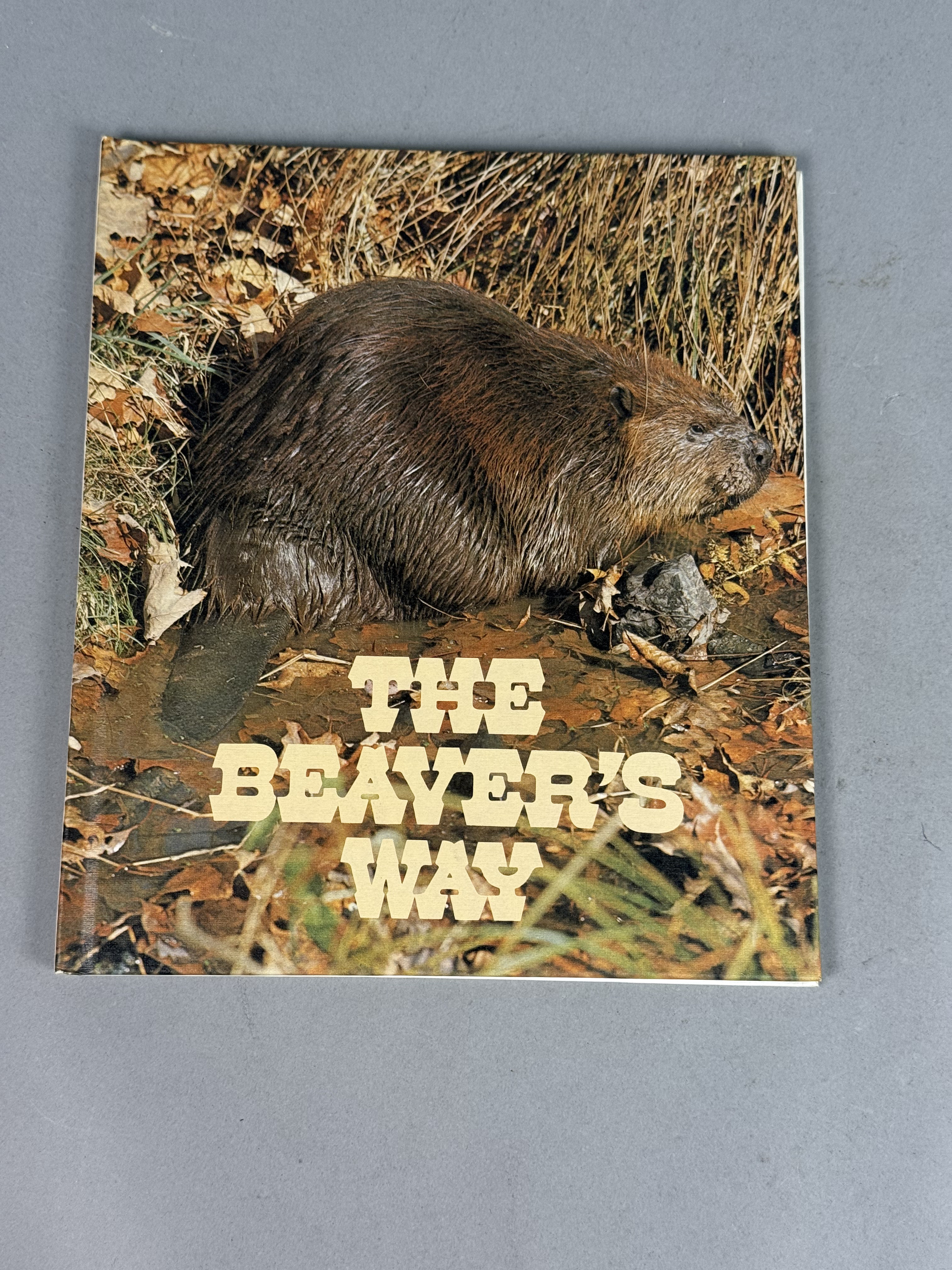 1973 Ranger Rick's Best Friends Books