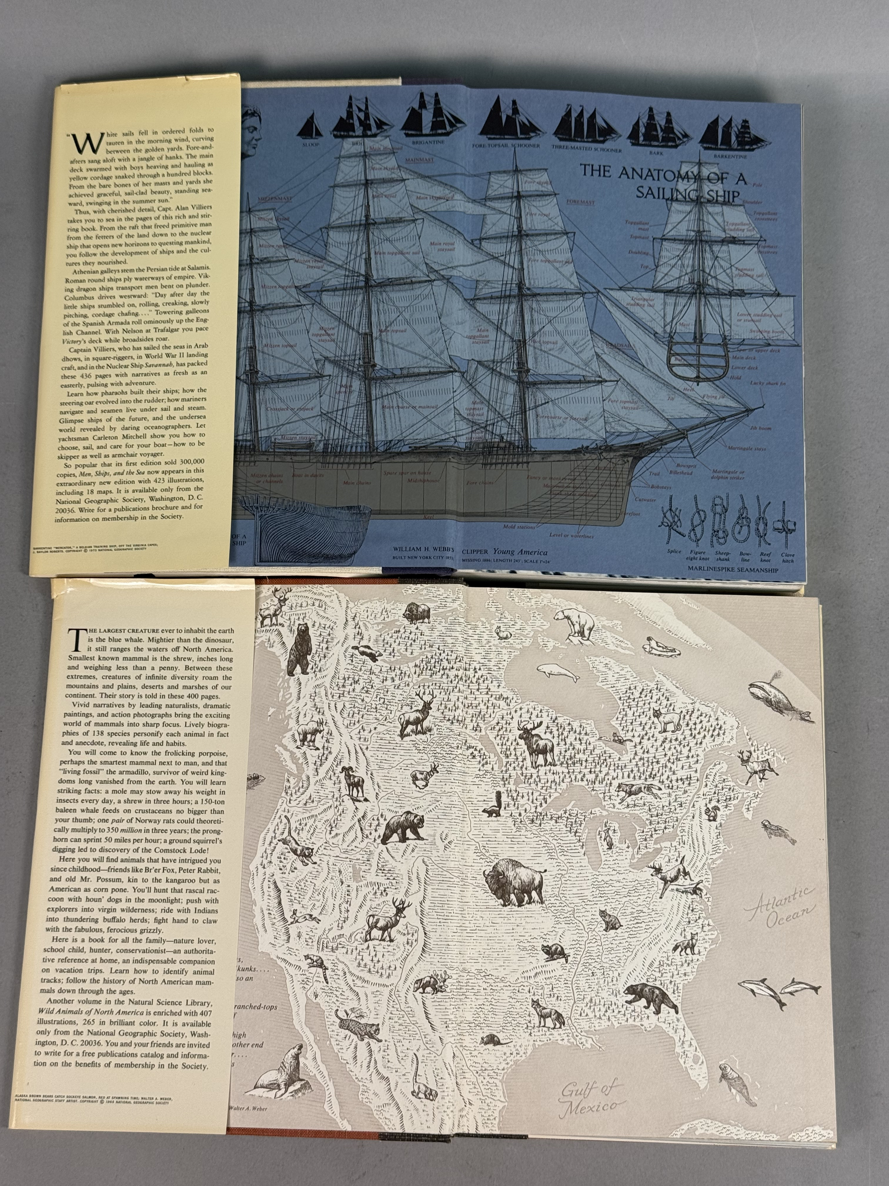 National Geographic Society Vintage Hardcover Books