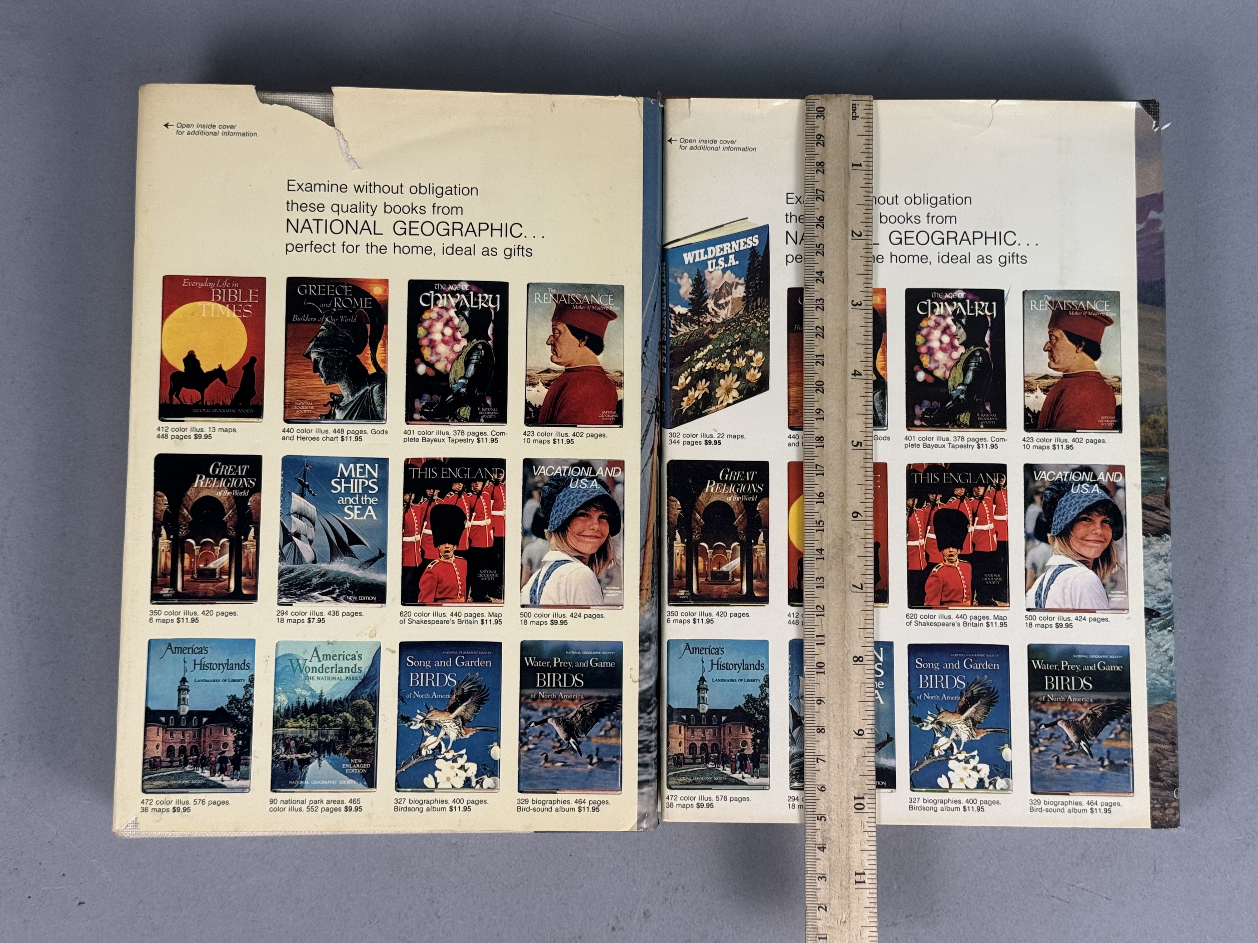 National Geographic Society Vintage Hardcover Books