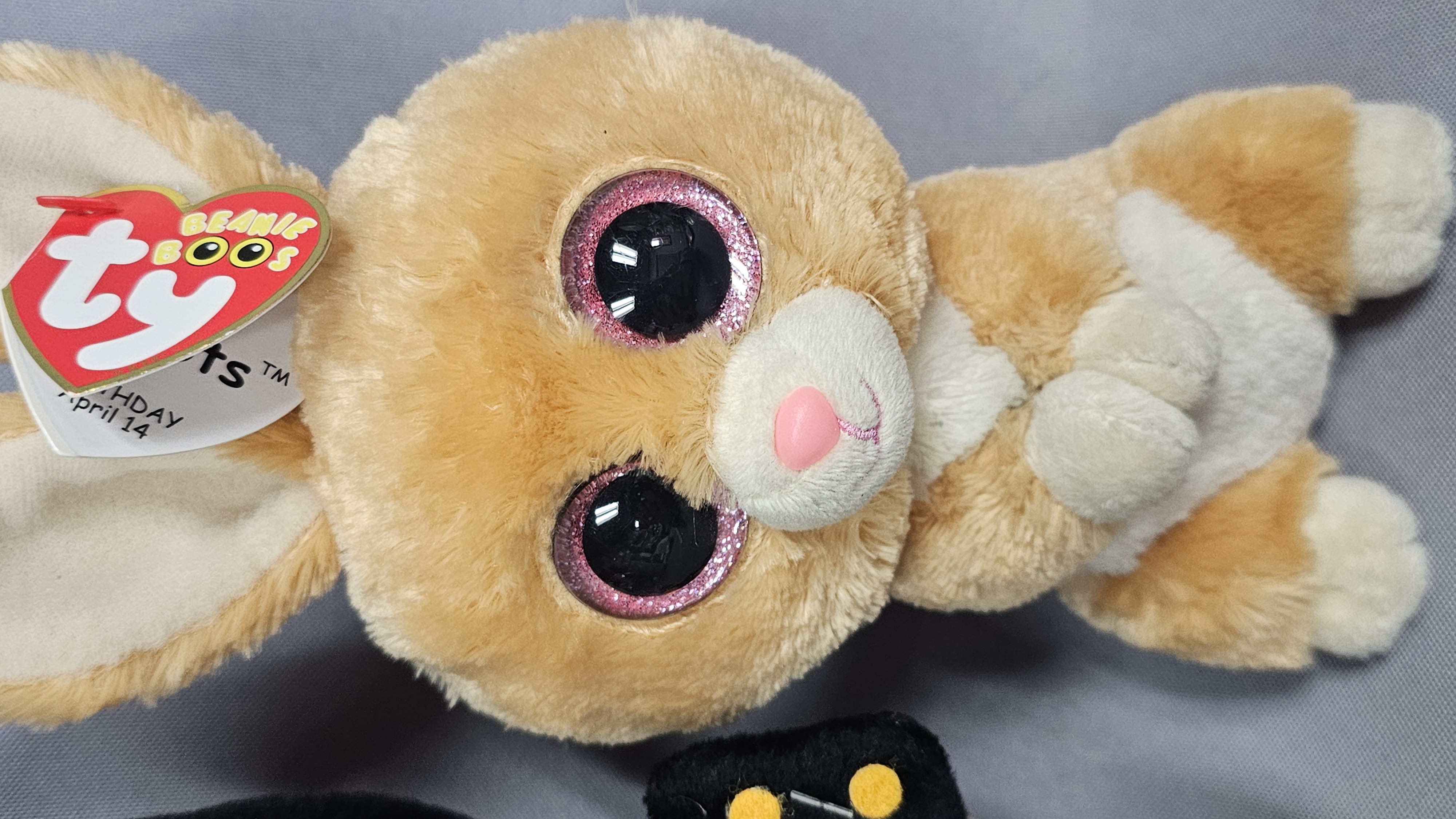 Sanrio Hello Kitty Halloween & Ty Carrots Plush