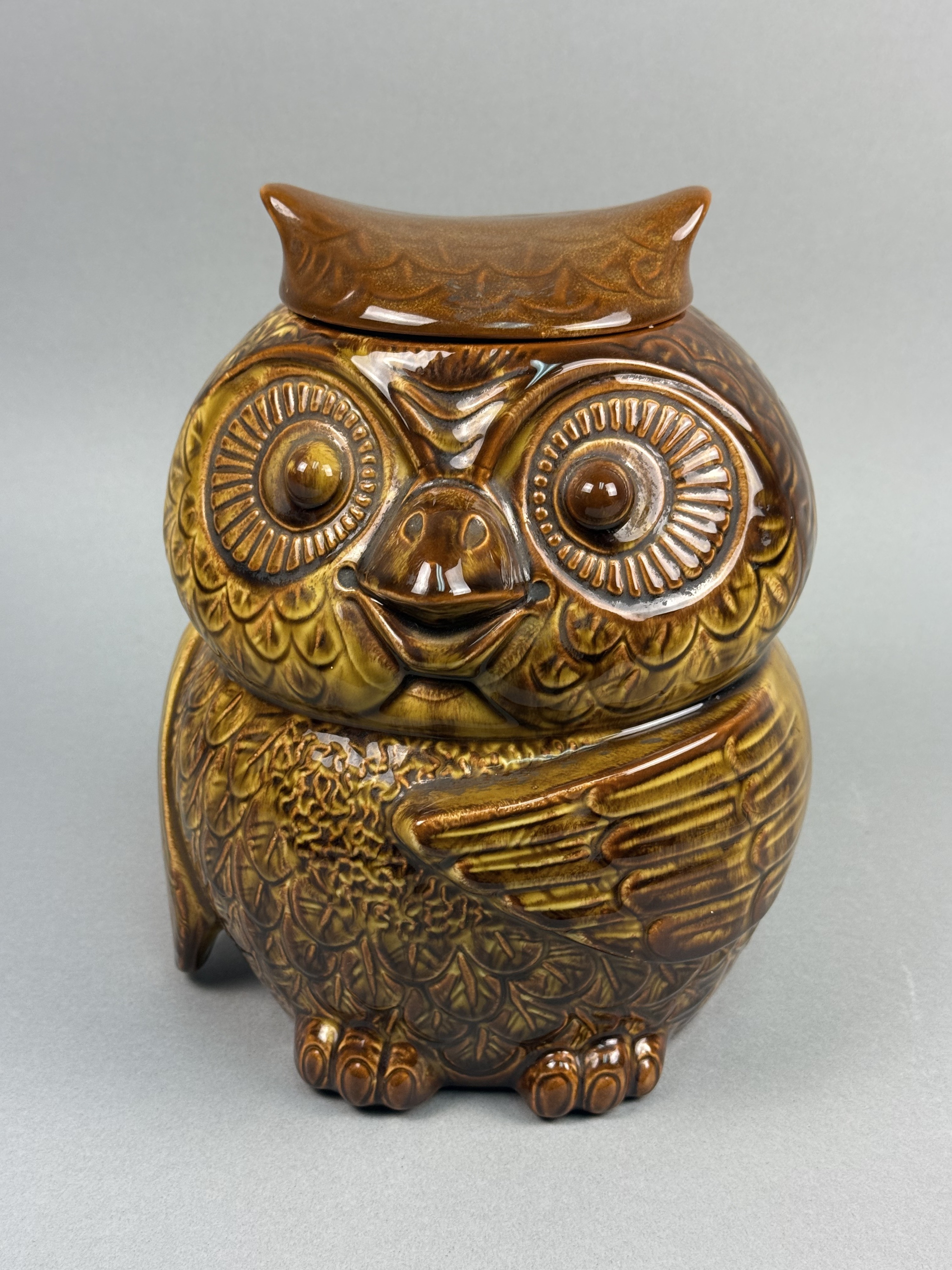 USA Glazed Ceramic Winking Owl Cookie Jar