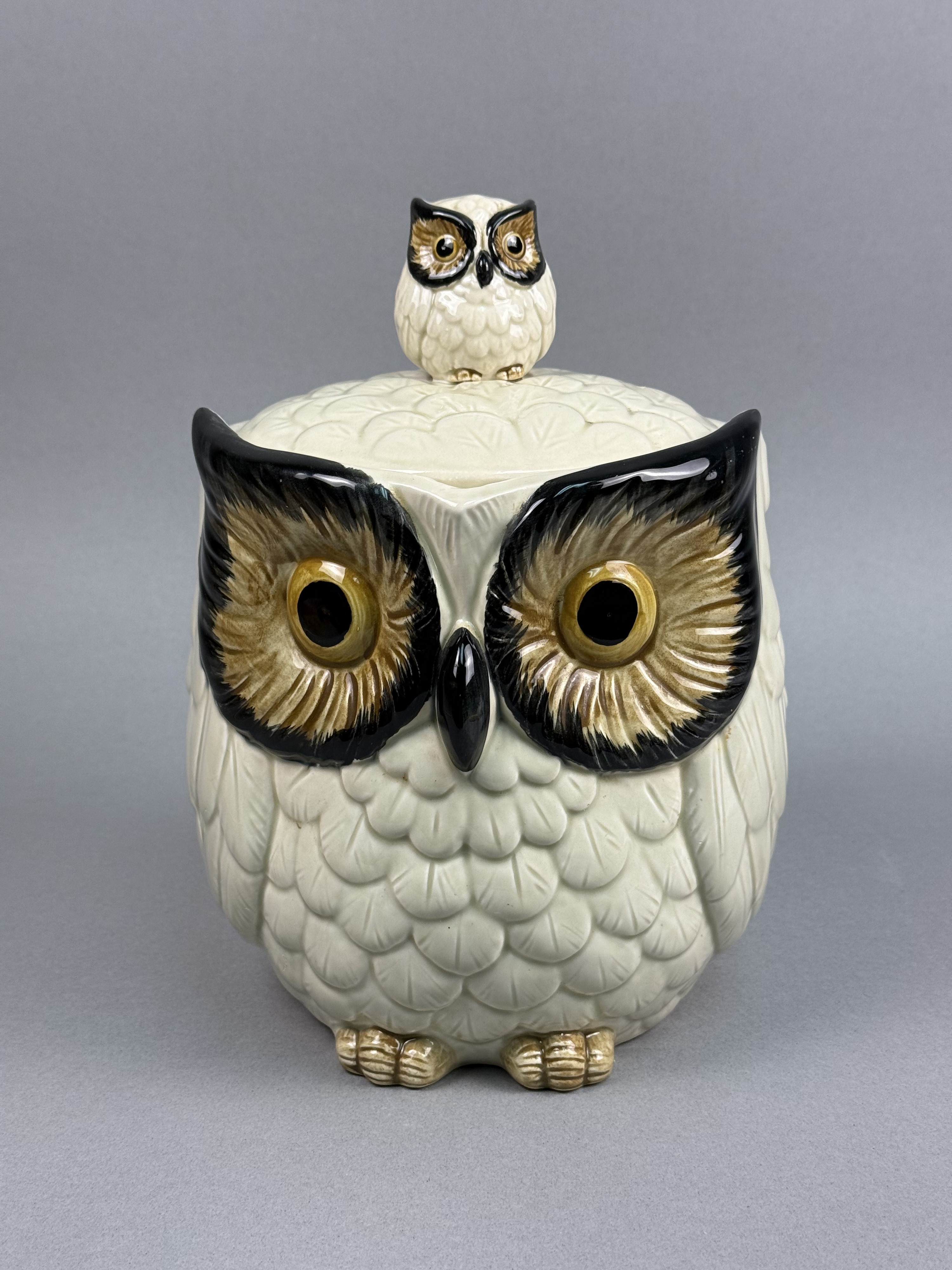 Glazed Ceramic Figural Owl Cookie Jar