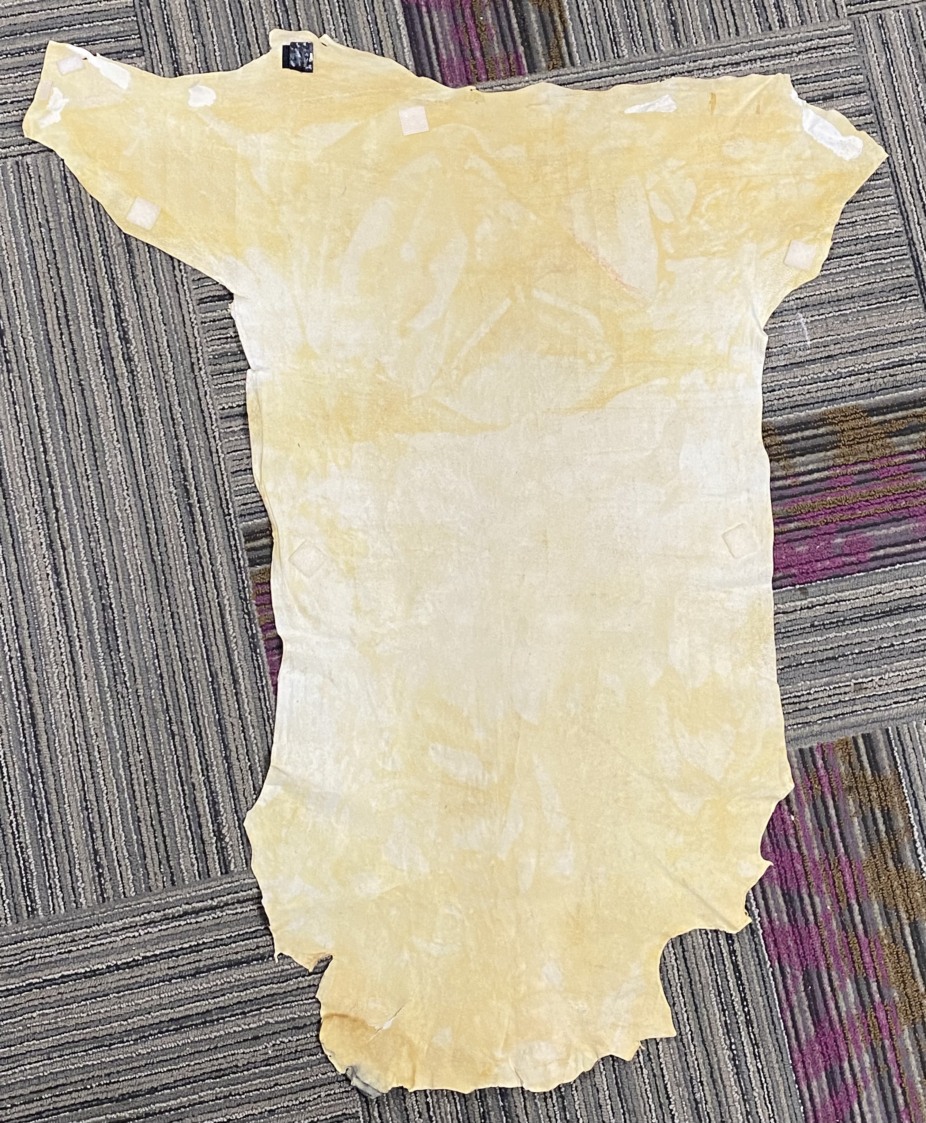 Toni M Payne Painted Animal Hide Moving (Signed)
