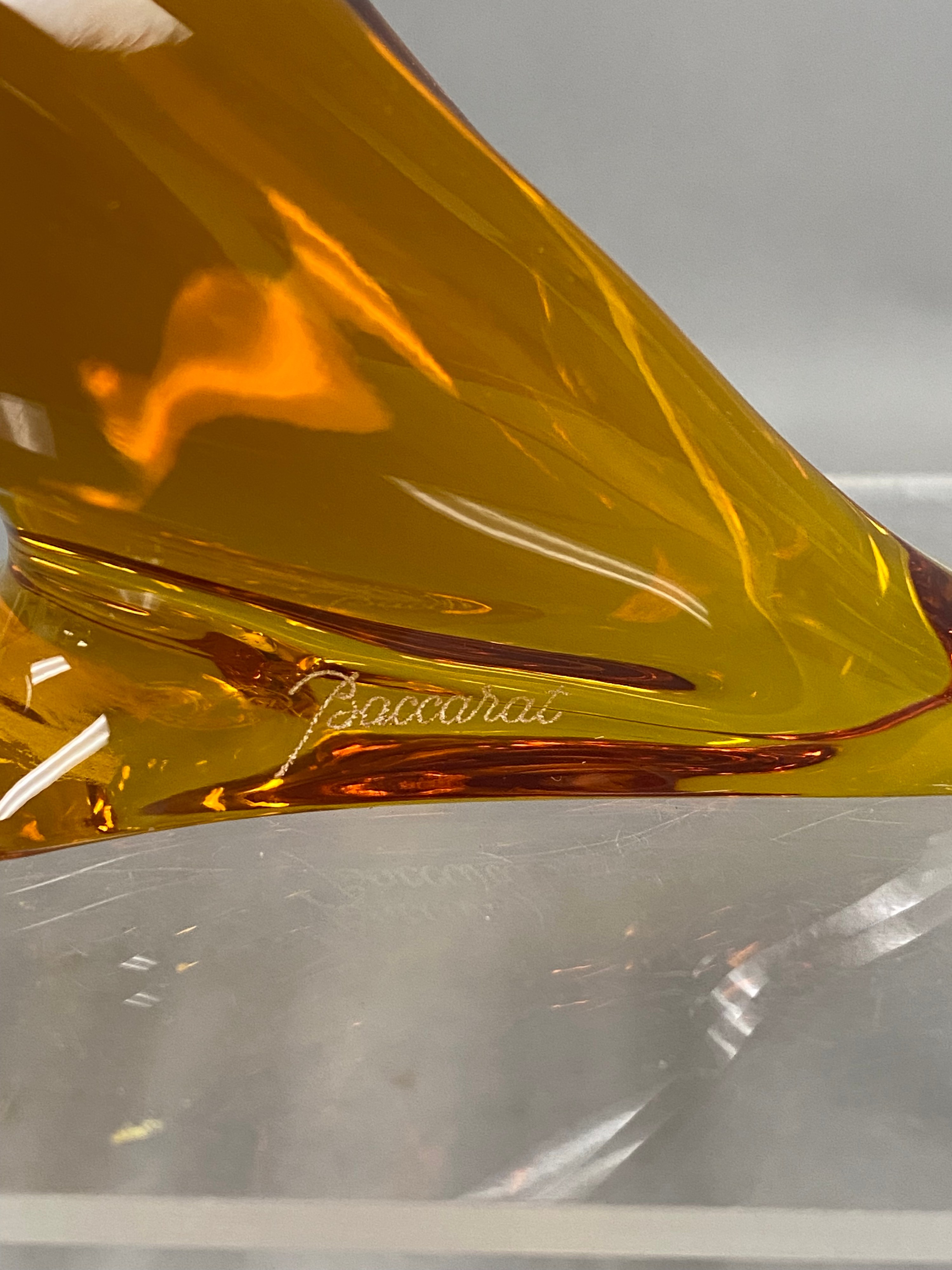 Baccarat Amber Crystal Parrot
