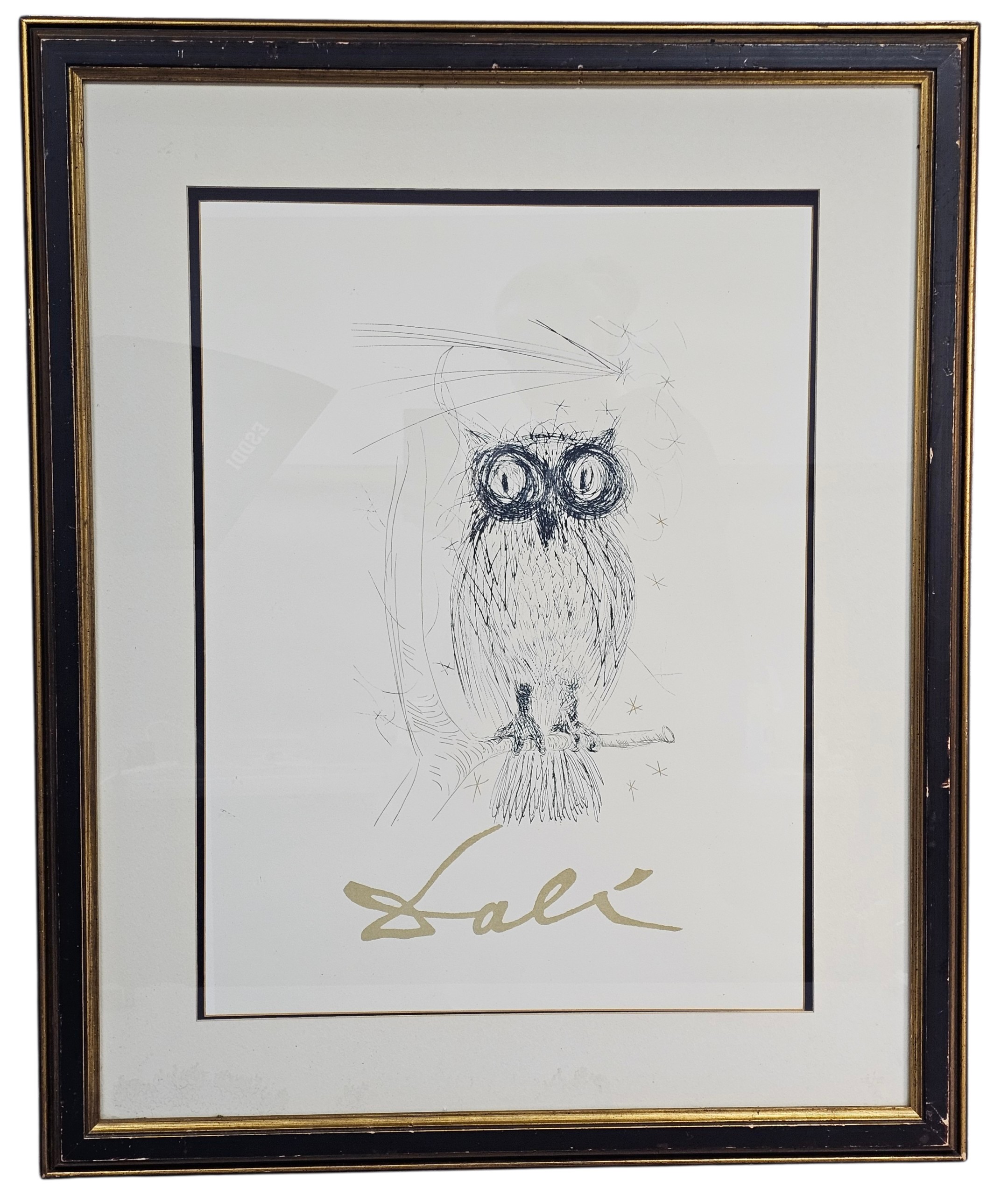 Salvador Dali Owl Lithograph Poster