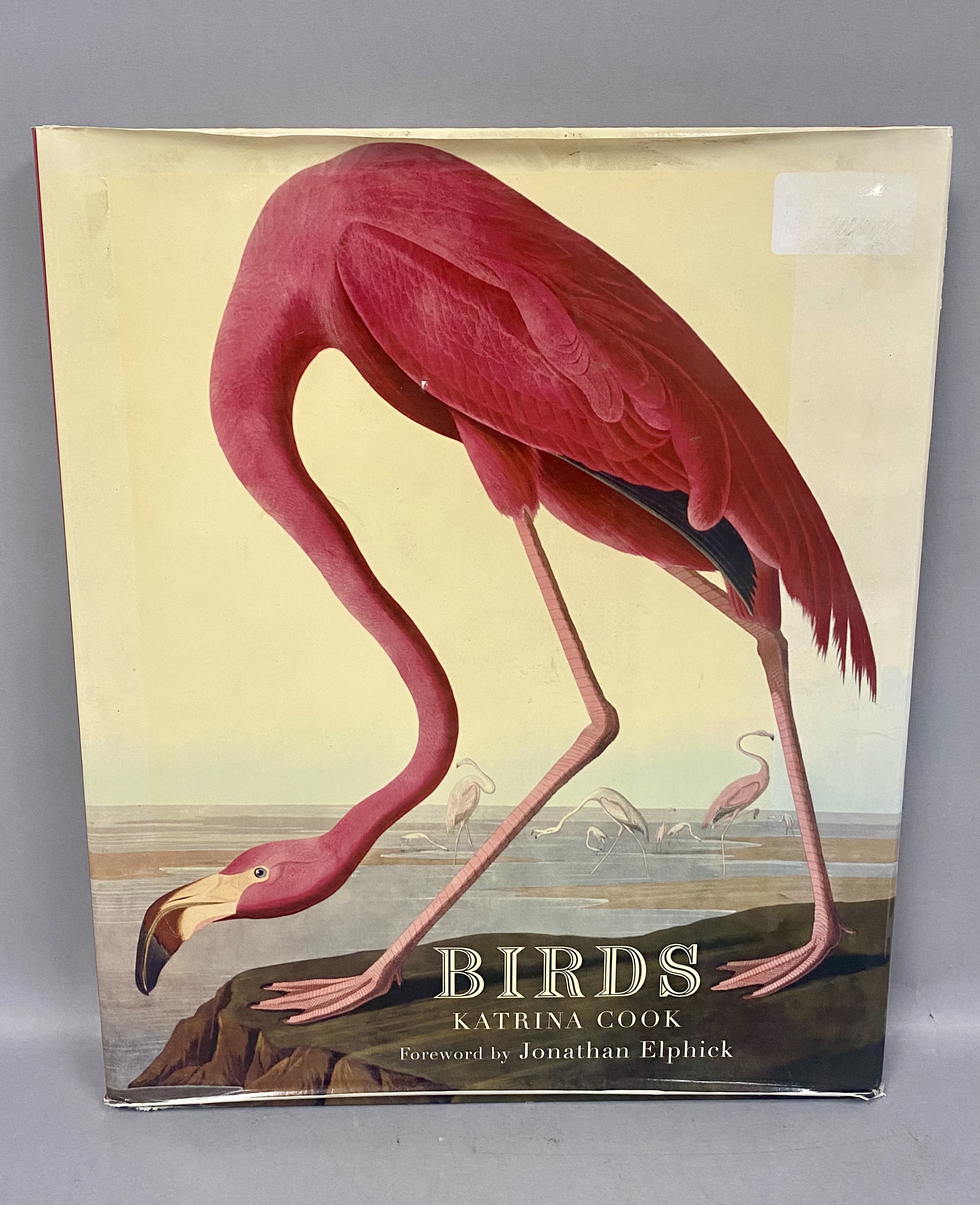 Cook. Birds. Quercus, 2007. First Edition (DJ)