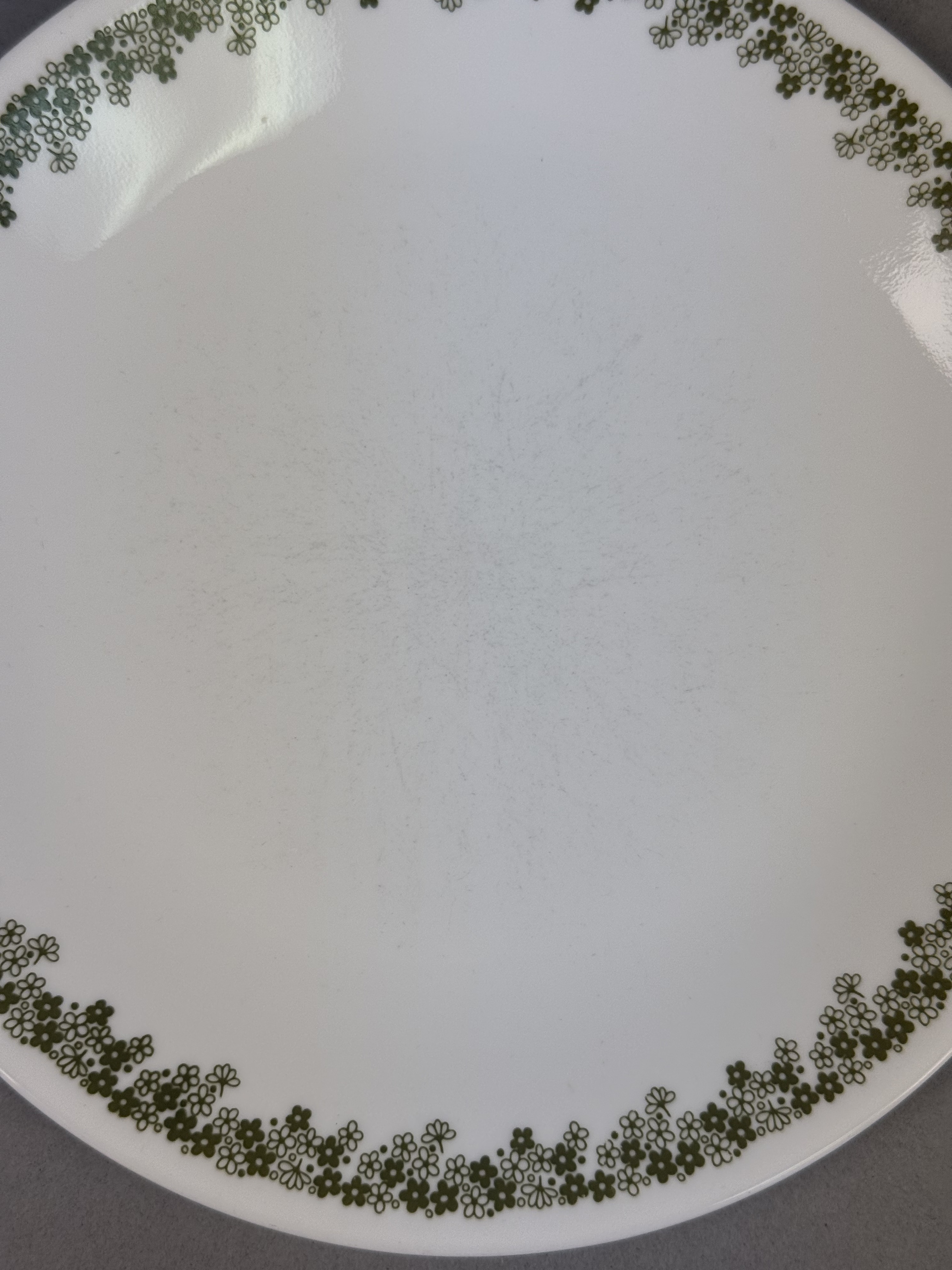 Corelle Spring Blossom Green Dinner Plates
