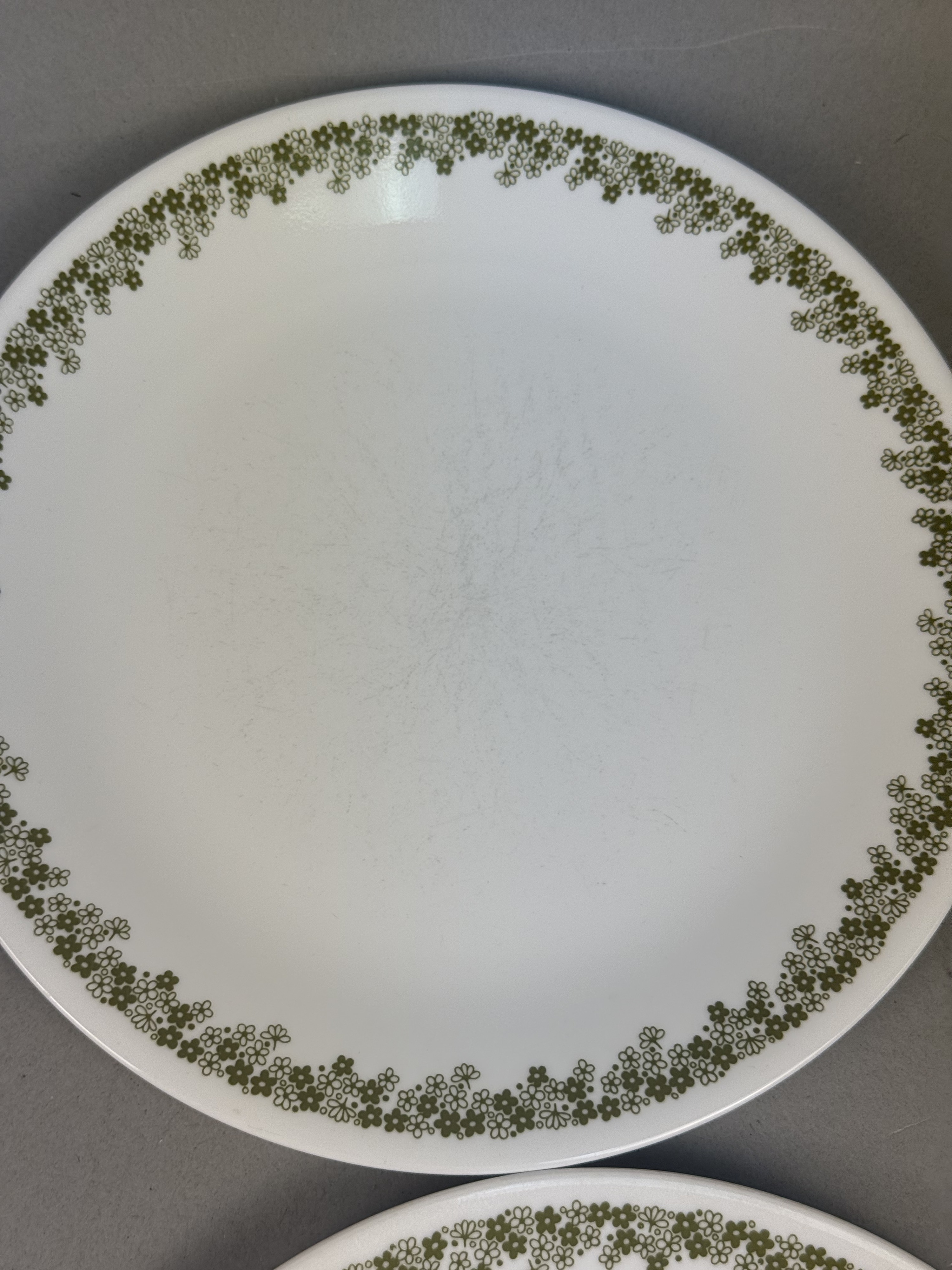 Corelle Spring Blossom Green Dinner Plates