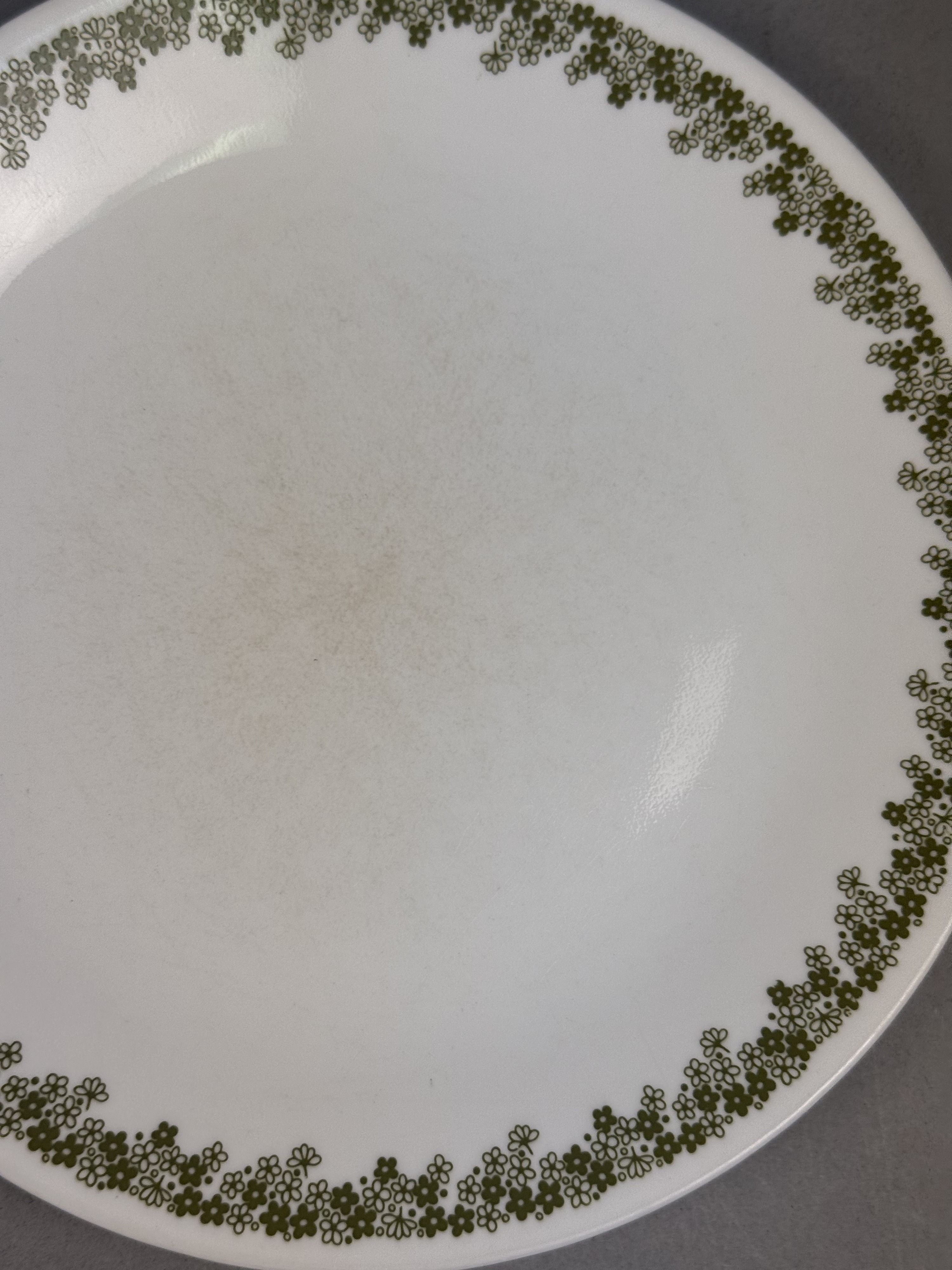 Corelle Spring Blossom Green Dinner Plates