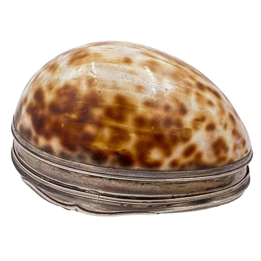 Lot 213: A SILVER MOUNTED GEORGIAN COWRIE SHELL SNUFF BOX,...