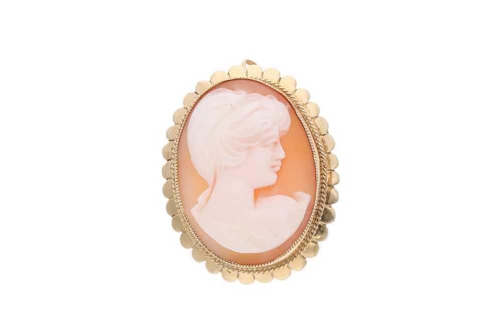 Lot 178: 9ct Gold and Cameo Pendant/Brooch