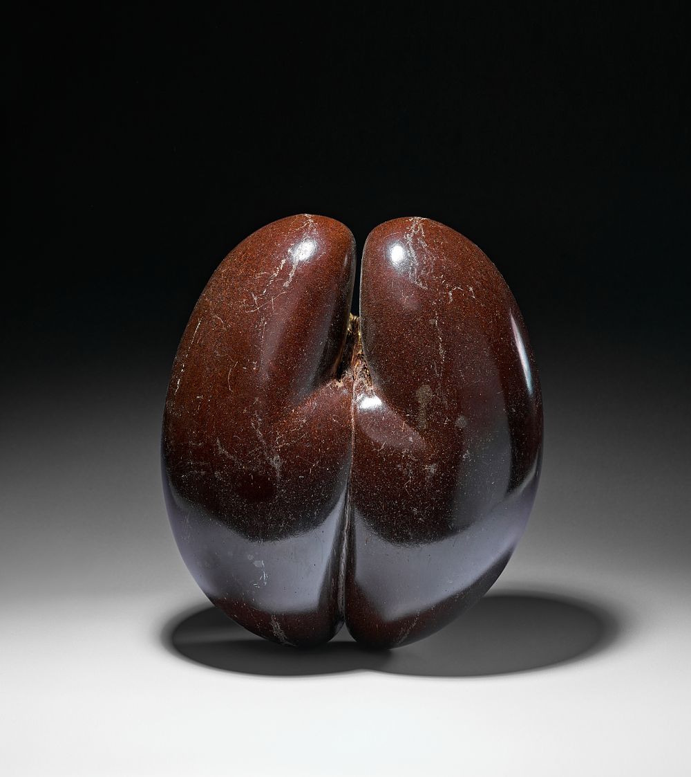 Lot 258: A COCO DE MER SEED SHELL, SEYCHELLES, 19TH CENTURY