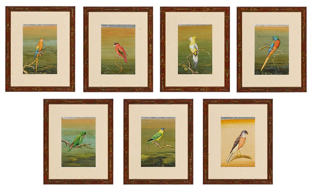 Lot 171: A COLLECTION OF SEVEN INDIAN COMPANY SCHOOL BIRD ILLUSTRATIONS PAINTINGS, CIRCA 1900