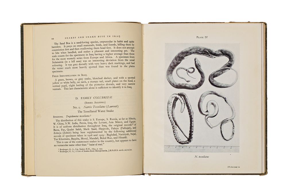 Lot 288: A HANDBOOK FOR MEDICAL OFFICERS BOOK, SNAKES AND SNAKE BITE IN IRAQ, 1932. FIRST EDITION.