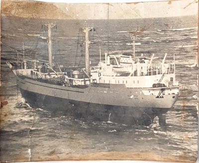 שלושה תצלומים של אניות צים, שנות השישים. גדלים שונים. מצב בינוני. פגמים.