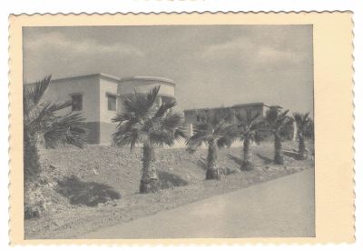 42 גלויות ארץ ישראל – תקופת המנדט. כל הגלויות באותה הוצאה. גלויות ספורות בעותק כפול. כולל גלויות 