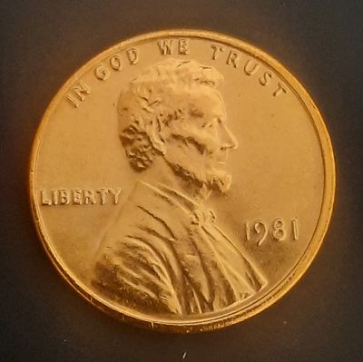 סנט ארה"ב מצב מינט UNC
שנה 1981