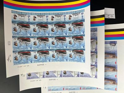 סט גליונות ללא שינון