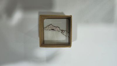 שרשרת כסף חדשה, עדינה ויפה.
הגיעה מחנות תכשיטים שנסגרה, לא הייתה בשימוש מעולם.
חתומה בסוגר 925. 