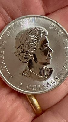 💎 מטבע נדיר! 1 וחצי אונקיות כסף טהור!!! 9999 מטבע מלכותי **נדיר** ביופיו! 👑 דיוקן עוצר נשימה 