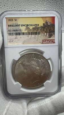 דולר שלום אמריקאי 1923 BU!. מטבע **דולר שלום** 🕊️ כסף חדש ומרהיב! BU! הוספה נדירה 💎 לאוסף שלך. 