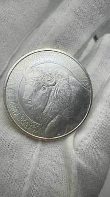 נדיר ביותר! אונקיית כסף טהור אינדיאני. 🪙 מטבע אונקיה כסף **נדיר** עם עיצוב אינדיאני עוצר נשימה! 