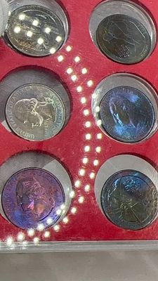 לוט של 12 רבעי דולר ( קוורטרס) עם פטינה צבעונית נדירה. נתון בתוך מתקן שמירה מיוחד.