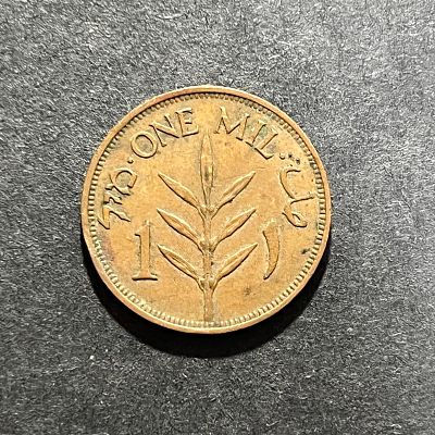 תמונות הפריט הן חלק מתיאור הפריט! תיאור נוסף יעלה בהמשך!