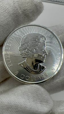 1 ו 1/2 אונקיות פרוף! מטבע כסף קנדי. ✨ מטבע כסף קנדי 🇨🇦 טהור! **הזדמנות** להוסיף אוצר 💎 