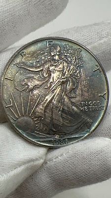 נדיר! פטינה צבעונית- צבעי כחול, ורוד, תכלת טבעי! נמצא בכספת נעולה בארה״ב. דולר 1986. ✨ מטבע 