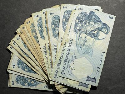 מקבץ שטרות לירה דייג במצבים שונים וצבעים שונים(לא נבדק יתכנו הפתעות .. מספרים יפים וכו*)