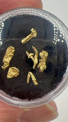 0.45 גרם פתיתי זהב טבעיים. ✨ פיסות **זהב טהור** מהטבע! ✨ אוסף נדיר של פתיתים מרהיבים. ⛏️ הזדמנות 