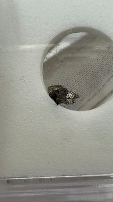 נדיר! מטאוריט אמיתי Campo del Cielo. 🚀 **מטאוריט אותנטי** מארגנטינה! 🇦🇷 חלק מהיסטוריה קוסמית 