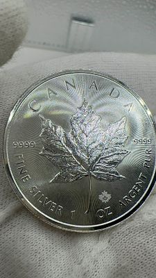 מטבע כסף 999 פרוף! עלה מייפל 2017. 🪙 מטבע כסף טהור ✨ **עלה מייפל קנדי 2017** 🍁. יופי נצחי 