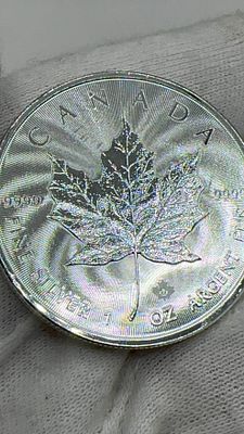 מטבע עלה מייפל כסף 9999. 🍁 מטבע **כסף טהור** קנדי! 🪙 יופי נצחי ואיכות ללא פשרות. הזדמנות לרכוש 