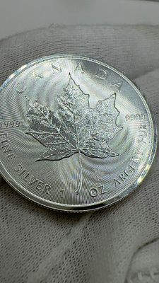 מטבע כסף 9999 עלה מייפל קנדי. 🍁 כסף טהור 9999! מטבע **נדיר** בעיצוב מרהיב של עלה מייפל 🍁. 
