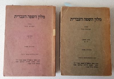 שואה – שארית הפליטה
מלון השפה העברית – הוצאת ציוניסטישע שטימע בגרמניה
מלון השפה העברית מאת 