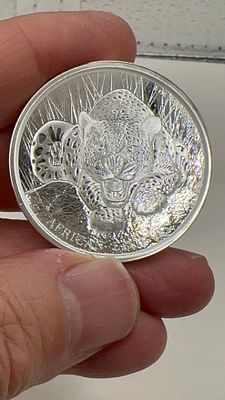 אונקיה מיוחדת! בהטבעה! כסף 9999 טהור מטבע כסף גאנה 2017. ✨ מטבע כסף **נדיר** מגאנה 2017! 👑 