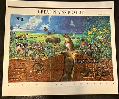 גיליון יום ראשון מרהיב עם נופי ערבות ארה״ב ובעלי חיים – סדרת Nature of America המבוקשת!
כולל 